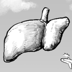 Pandra's max alcohol fever