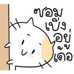 เหมียวๆ ข่อยเป็นค้นอีสานเด้อ