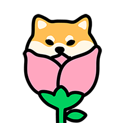 フィバシバ