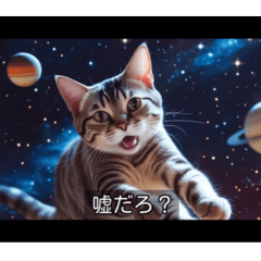 Movie-style cat