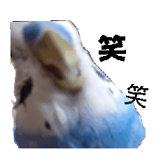 taka_20250615204750