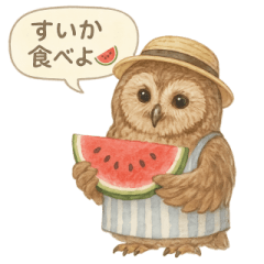Watercolor Owl Stickers