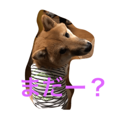 kotetu.aisatu