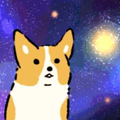 今日もコーギーが可愛い2