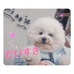 Mint mama_20250616212015