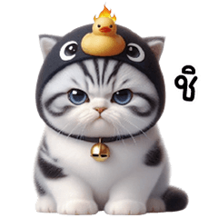 แมวน้อยหัวเป็ดดำ ตัวตึง
