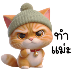 แมวส้มตาใสหัวไหมพรม ตัวตึง