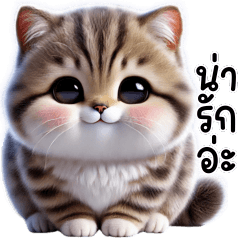 แมวลายเทา แมวน้อยน่ารักมาก3