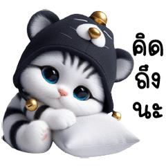 Cute little cat black bear head