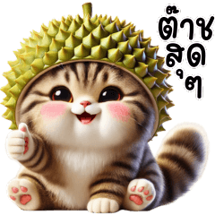 แมวลายเทาน่ารัก หมวกทุเรียน