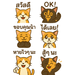 แมวนุ่มนิ่มพูดเก่ง