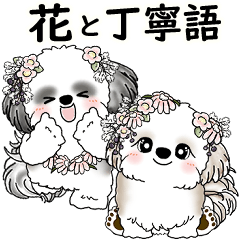Shih tzus (Flowers and polite language)