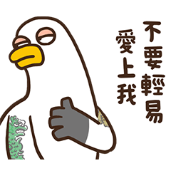 海鷗的鷗啦!22兄弟