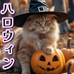 pop-up cat Halloweeeeen