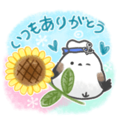 summer little bird