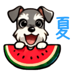 Schnauzer in Summer
