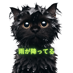 misa_20250615225702