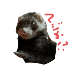 Takeru_20250616013340