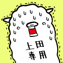 (Only for Mr.Ueda) Alpaca