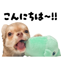 Zousan_20250612211214