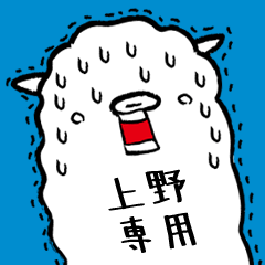 (Only for Mr.Ueno) Alpaca