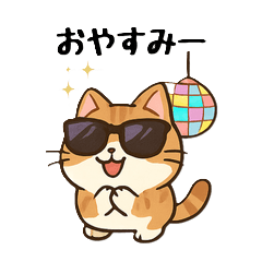 Adorably Contradictory Cat