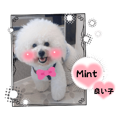 Mint mama_20250616211745