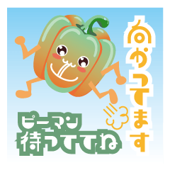 うちの嫁ピーマン