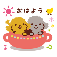 トイプードル色々_わくわくな日々