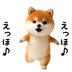 *A mameshiba trying to say something