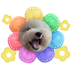 Jhennnn_20250613011049