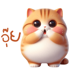 Chubby Orange Cat: Cozy Chat Vibes!
