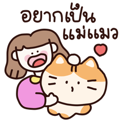 Cat fluffy cute