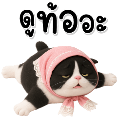 น่ารักแมวลายวัว 01