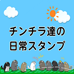 チンチラちゃんがいっぱい！【第一弾】