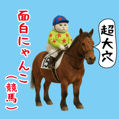 Funny cat(Horse Racing)