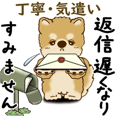 Shiba-inu 2025 (polite language)