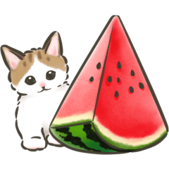 Cat Stickers (Japanese message) Summer 2