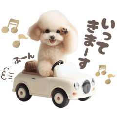 毎日使える！かわいいトイプーちゃん♡