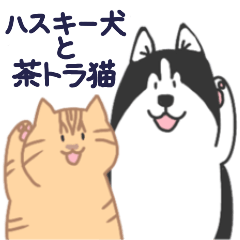 Dog and Cat (B and T)