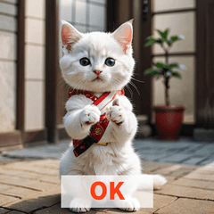 Kitten Replies  All Yes!