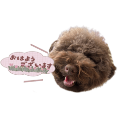 yunomama_20250617004259