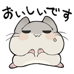 Disgusted eyes Hamster