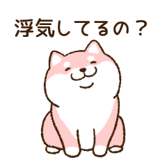 Shiba Inu (Jealous)(smile)