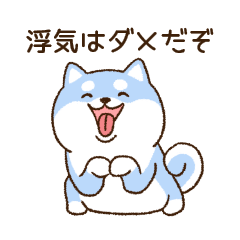 Shiba Inu (Jealous)(smile)(boy)