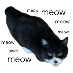 haru_20250618075254