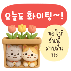 แก๊งแมวนุ่มนิ่ม (เกาหลี-ไทย)