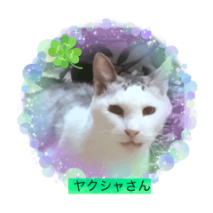 ヤクシャさんのお友達