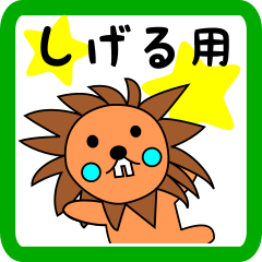 しげる用 ライオンけいたん