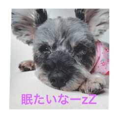 wannyanfamily